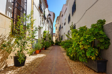 Picturesque alley with whitewashed houses and potted plants all over the street, Velez Rubio,...