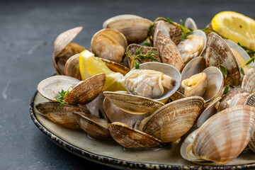 Seafood appetizer, vongole preparation, close-up
