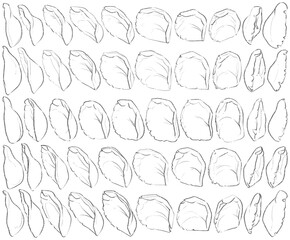 50 Ears - Digital Art (3D to 2D)