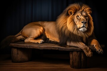 A majestic high-key portrait of a regal lion against a bright white background. The lion's mane and powerful gaze exude strength and dominance, capturing the essence of these majestic creatures in the