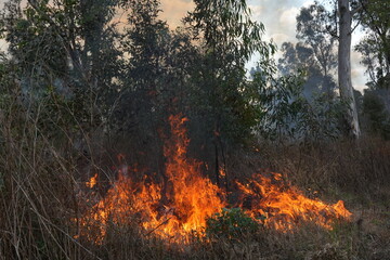 A stunning veld fire in a field in between a suburb and a railway. Showing the death and destruction of an uncontrolled fire. looks like a war scene showing the after effects.
