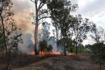 A stunning veld fire in a field in between a suburb and a railway. Showing the death and destruction of an uncontrolled fire. looks like a war scene showing the after effects.