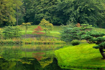 Fototapeta premium japanese garden with pond and trees