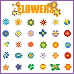 Colorful Flower Icons Vectors, Illustration and Vector