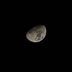 Half moon background - The Moon is an astronomical body that orbits planet Earth and is Earth's...