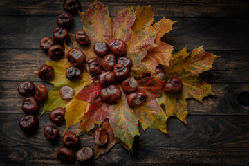 Autumn composition with dry autumn leaves and chestnuts