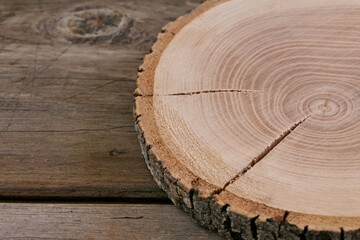 cross section of tree trunk.Wooden background