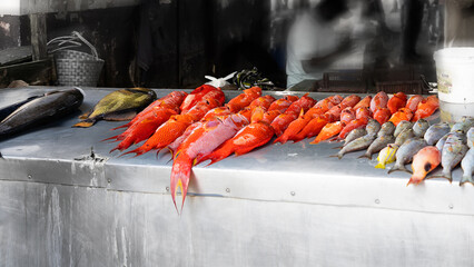 Fischmarkt Mauritius Grand Baie - obrazy, fototapety, plakaty