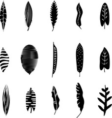 Set of black silhouettes of tropical leaves palm, trees, plants. Vector illustration