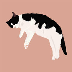 The cat sleeps on its side. The pet is resting.