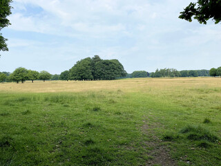 A view of the Cheshire Countryside near Knutsford on a sunny day