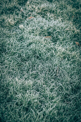 frost on green grass outdoors, magic winter atmosphere