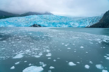 Foto op Plexiglas holgate glacier, Kenai Fjords National Park, scenery view from floating ice ocean © nd700