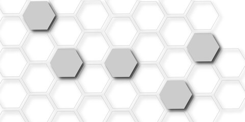 Luxury white and grey hexagonal abstract background with shadow. Geometric 3d texture illustration. background with lines.  hexagonal shapes and Surface polygonal pattern with glowing.   