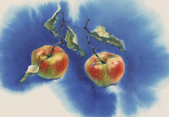 Two red apples on the blue watercolor background - 667208373