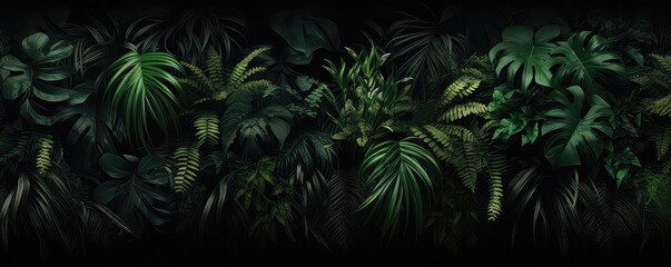 Lush Tropical Rainforest Foliage On Black Background - obrazy, fototapety, plakaty