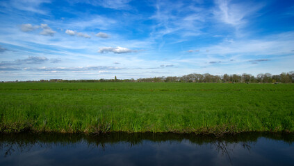 Landscape green meadow and canal with clear water