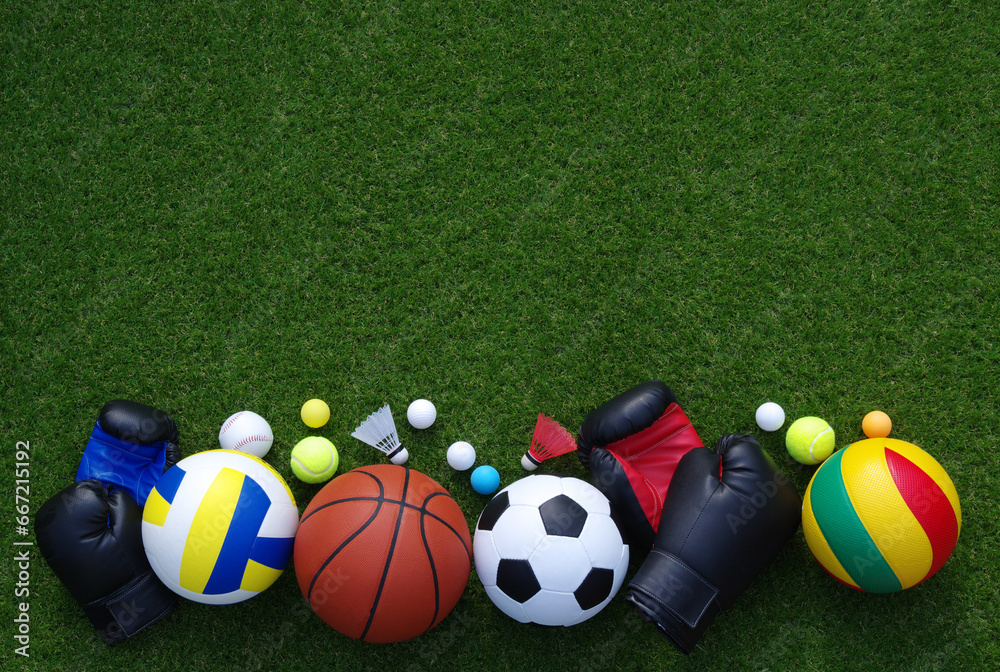 Wall mural sport equipment on green grass