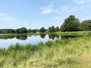 A view of the Cheshire Countryside near Knutsford on a sunny day