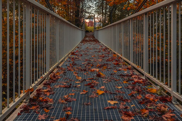 pedestrian bridge with grey railings over a ravine full of autumn leaves