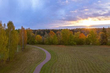 autumn view from the observation tower of birch trees, mown grass and sunset, path on the left