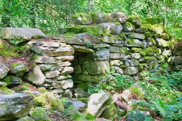 stone wall with moss - obrazy, fototapety, plakaty