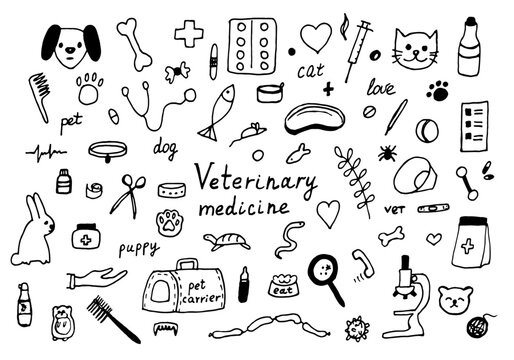 Veterinary medicine doodle, set with pets, medicines and food. Cat and dog, hamster, rabbit. Vector illustration on white background.