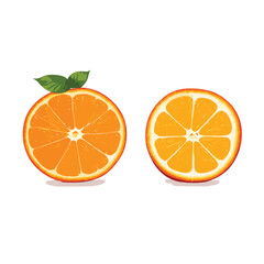 Citrus Celebration Vector Design Magic