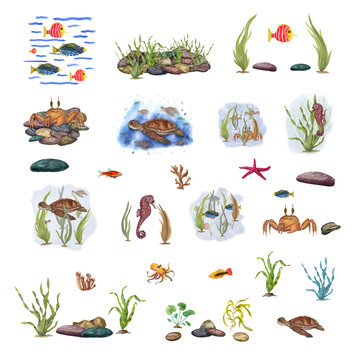 Sea set. Fishes, crab, tortilla, keeps in the aquatic environment. Underwater world. Stones, green weeds, sea animals. Watercolor illustration for poster, label, stickers and logo. Cartoon style.