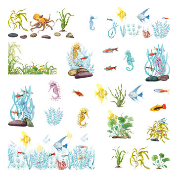Sea life. Fishes, octopus, seahorse, keeps in the aquatic environment. Underwater world. Algae thickets, weeds and sea animals. Watercolor illustration. For poster, label stickers. Cartoon style.