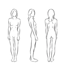  Illustration of the female figure with front, side and back contours, simple lines. Very thin woman. Vector isolated on transparent background.