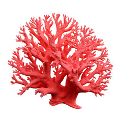 Red coral clip art