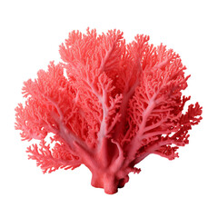 Red coral clip art