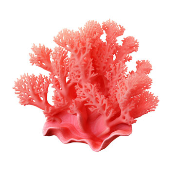 recommend clip art: Red coral clip art