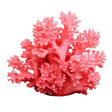 recommend clip art: Red coral clip art