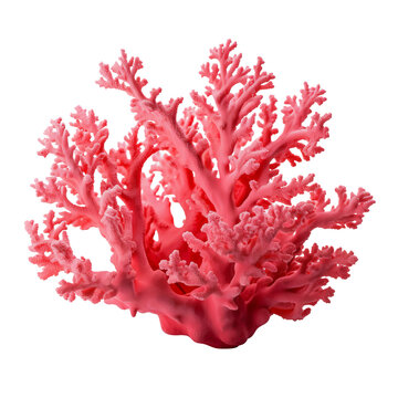 recommend clip art: Red coral clip art