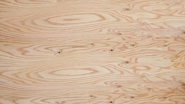 Background with wood texture. Natural wood pattern. Oak texture with knots