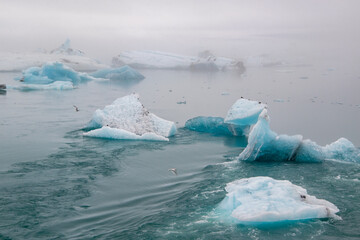 Eisberge, Eisscholen und Eisstücke in der Gletscherlagunne Jökulsárlón im Südosten von Island. Sie lösten sich von der Gletscherzunge des Breiðamerkurjökull ab und schwimmen in den Atlantischen Ozean
