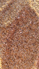 autumn leaves background