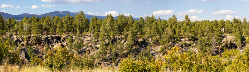 Fototapeta premium The colors of autumn. Scenic landscape in New Mexico