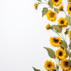 Elegant Sunflower Beauty Clean Copy Area