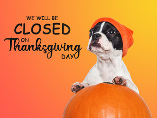 Signboard with the inscription We will be closed on Thanksgiving. Cute puppy and orange hat. Closeup, indoors. Studio shot. Pets care concept