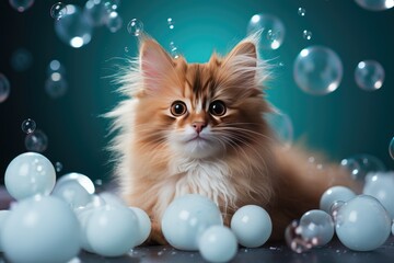 Cute ginger kitten with blue eyes in a bath with soap bubbles