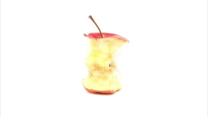 One red apple core becomes whole on a white background. Red apple from core to whole. Side view.