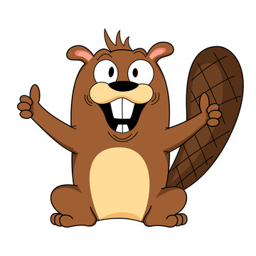 Vector illustration of a cute cartoon beaver on a white background. Images for children's design, nursery, greeting cards, books, stickers.