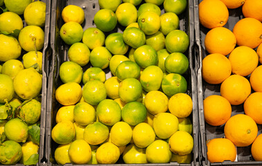 citrus fruits in the store