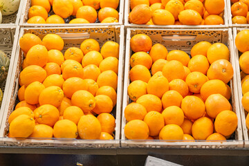 citrus fruits in the store