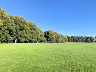 A view of the Cheshire Countryside near Knutsford on a sunny Autumn day