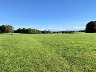 A view of the Cheshire Countryside near Knutsford on a sunny Autumn day