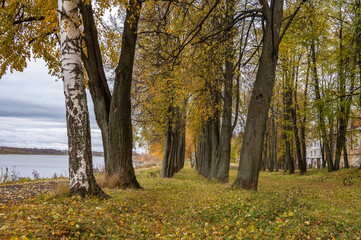 Autumn natural parkland on the riverbank.